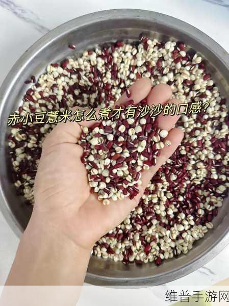 怎么揉小豆水最多呢：1. 如何高效揉小豆水，提升口感与品质