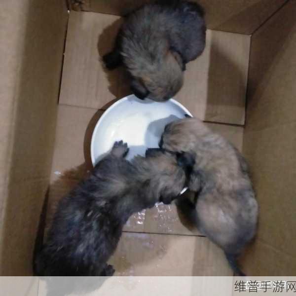结合处发出滋滋的水渍声音效：1. 水珠轻落，滋滋声中诉说的秘密