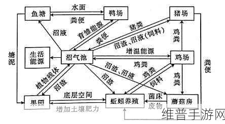 农场ZOOM与人性ZOOM的相似之处：1. 农场与人性：共生的生态系统探讨