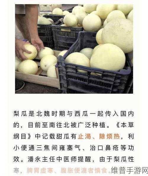 911红领巾吃瓜爆料今日大瓜:1. "911红领巾内幕揭秘,今日大瓜引发热议!
