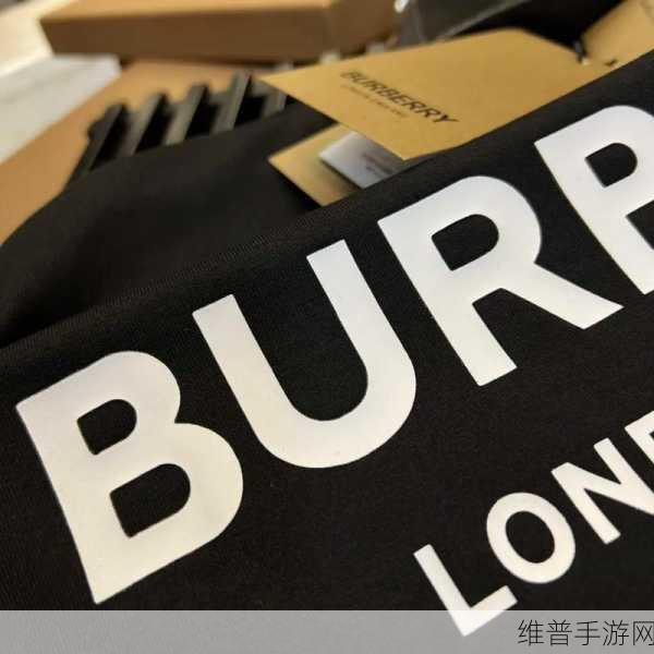 BURBERRY中文免费版：1. 探索BURBERRY：经典与现代的完美融合