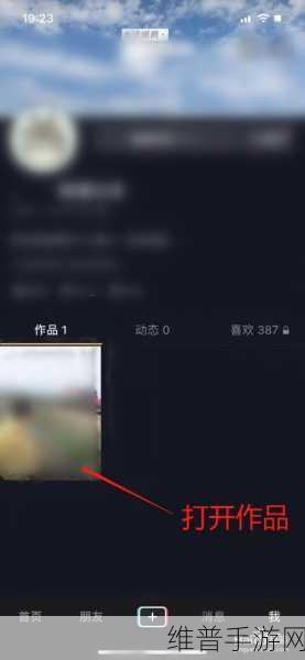 手游攻略,抖音商城订单隐私设置全解析