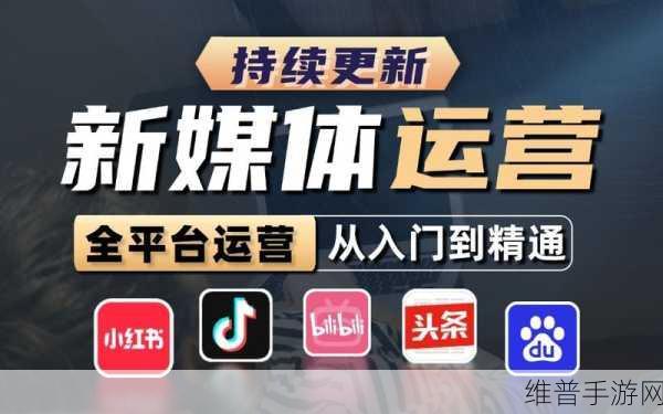 2024b站永不收费:1. 2024B站永不收费,重塑视频平台新格局
