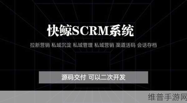 零售企业 scrm 系统开发：1. 零售企业 SCRM 系统：提升客户关系管理的新纪元