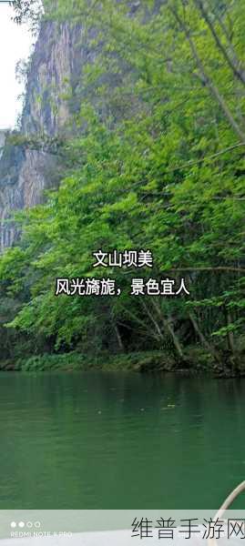 桃源洞口已是溪水：溪水潺潺，桃源洞口新景致探秘