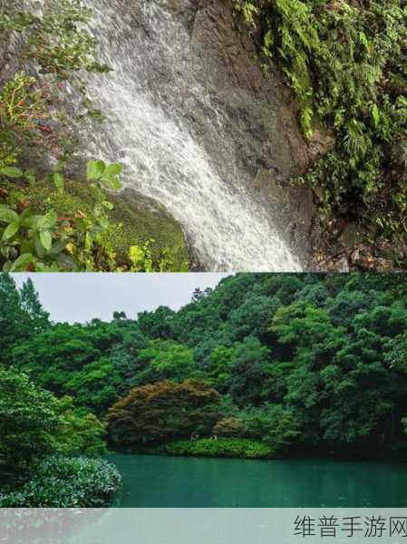 桃源洞口已是溪水：溪水潺潺，桃源洞口新景致探秘