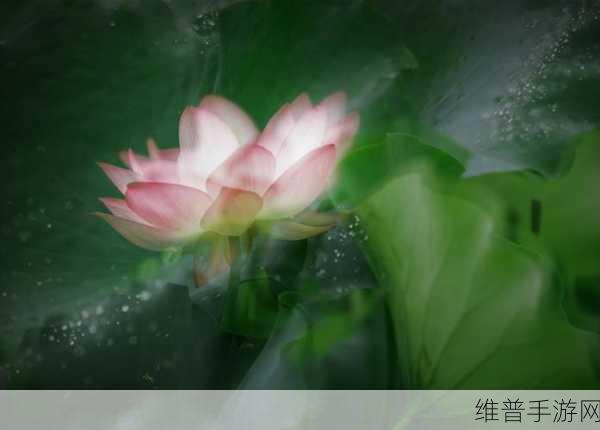 老人船上弄雨荷的故事情节如何展开：1. ＂雨荷的梦：老人船上的奇幻旅程
