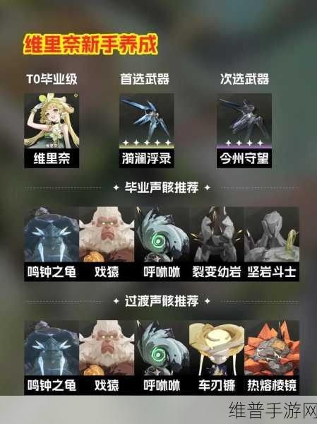 鸣潮，探索守岸人声骸词条的最佳搭配策略
