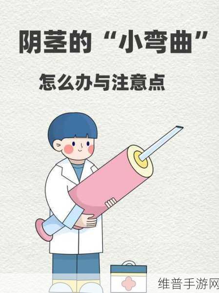 阳具选多大尺寸合适：选择合适阴茎尺寸的科学依据与建议