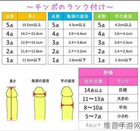 阳具选多大尺寸合适:选择合适阴茎尺寸的科学依据与建议