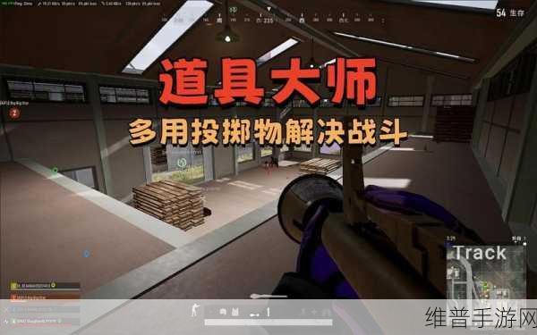 和平精英投掷武器使用技巧深度解析，精准投掷，制胜关键