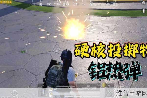 和平精英投掷武器使用技巧深度解析,精准投掷,制胜关键