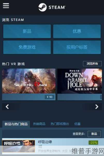 深度探索，Steam 手机版下载游戏全攻略