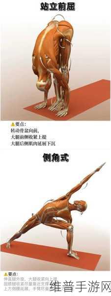 瑜伽馆教练把我腿练伤了怎么办：1. 瑜伽训练不当导致腿部受伤，如何自救？