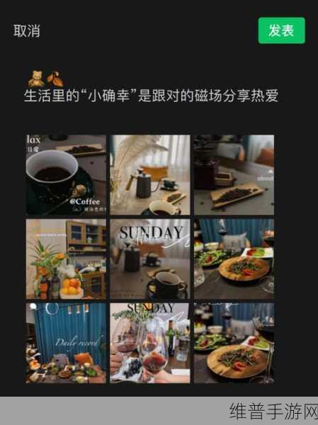 周家日常3pH乔舒：1. 周家日常3pH乔舒：家庭生活中的小确幸