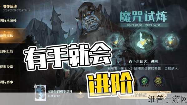 哈利波特，魔法觉醒——古卜莱仙火深度解析与资源分配策略