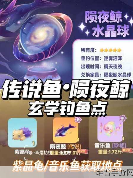 摩尔庄园手游，菩提大伯喜好全揭秘
