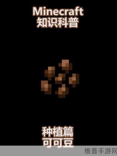 我的世界手游攻略，揭秘可可豆的获取与种植技巧