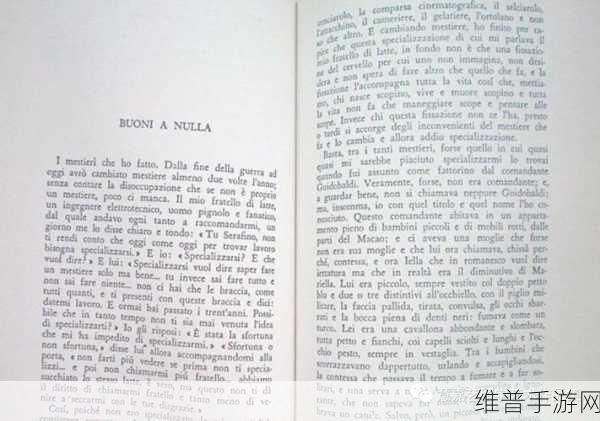 无法满足1980意大利呼叫合：1.意大利呼叫合的挑战与解决方案探讨
