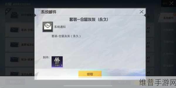 和平精英仓鼠灰灰 M4 点券价格全解析