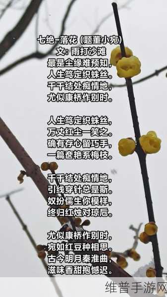 董小宛：1. 《董小宛：古代女子的爱与勇气