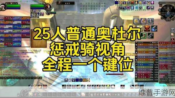 惩戒2~狂热的从业指导：1. 《超越惩戒：探索狂热职业生涯的无限可能