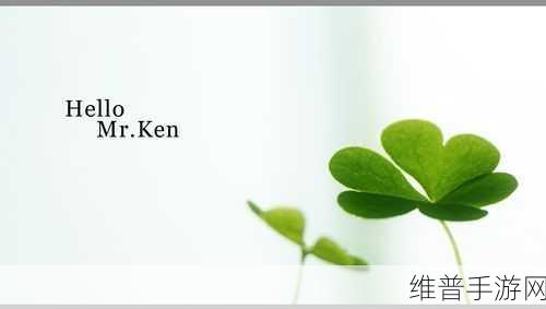 成品网站W灬源码1688三叶草：1. 三叶草之美：探秘W灬源码在1688的应用