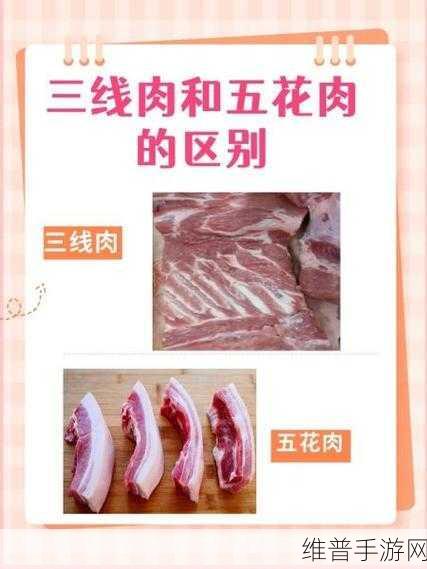 日本三线和韩国三线的市场定位：1. 日本三线与韩国三线：双重文化碰撞的市场机遇