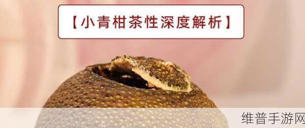 小青柑一线产区和二线产区的区别：1. 小青柑产区的深度解析：一线与二线的差异