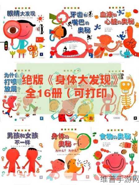 身体内的插曲：1. 身体内的秘密：探索生命之源的奥秘