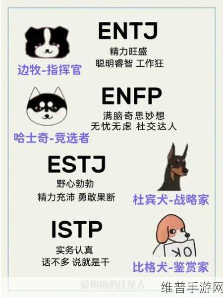 狗配人怎样配马配人呢：1. 如何选择与马匹性格相符的人类伴侣？