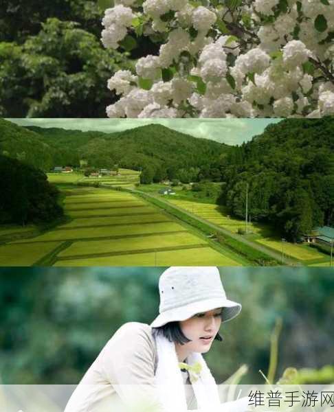 小森生活：1. 小森生活：在自然中寻找心灵的宁静
