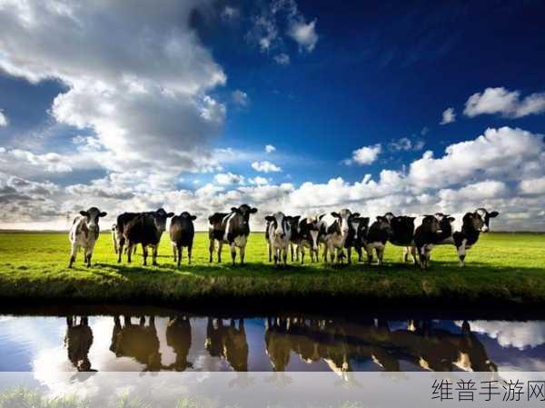 荷兰少归BVBV：1. 荷兰少归BVBV：探索文化交融的新视角