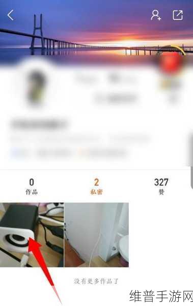 快手极速版手游攻略，如何高效删除作品