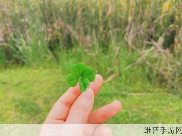 成品人和精品人的区别四叶草主播大量跳槽：1. 四叶草主播：从成品人到精品人的蜕变之路