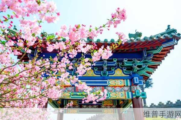 樱花影视.m3.u8：1. 樱花影视：尽享高清视听盛宴