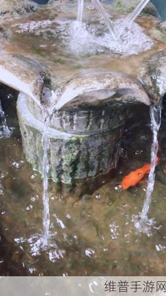 一夹一放和锦鲤吸水区别：1. 一夹一放与锦鲤吸水的巧妙对比
