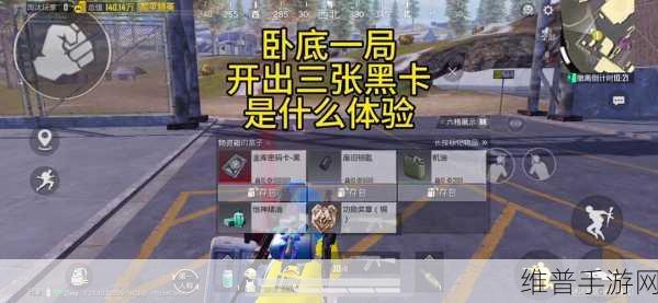 地铁逃生黑卡爆率揭秘,探寻最高爆率的隐秘角落