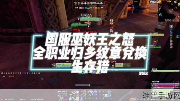 巫妖王之怒 盗贼战斗和敏锐哪个升级快:盗贼职业在巫妖王之怒中:战斗与敏锐升级速度对比分析