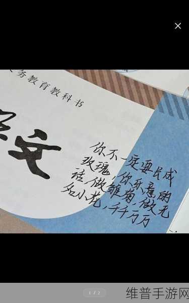 你是玫瑰1V1：1. 探索玫瑰1V1：深度交流的艺术与技巧