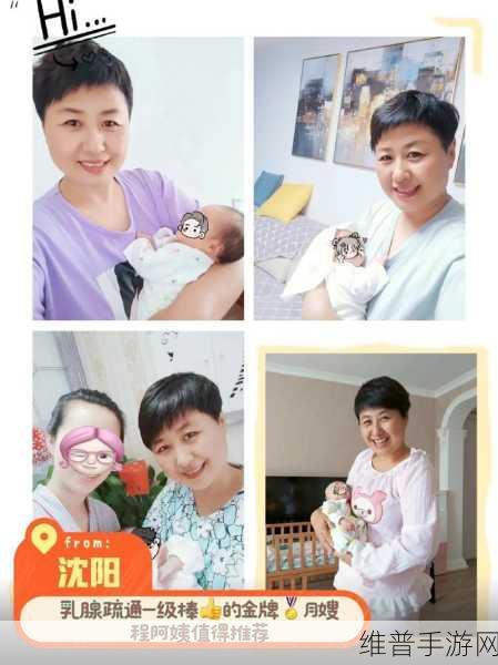 沈阳老阿姨最后的巅峰爆料大批新视频：1. 沈阳老阿姨最新揭秘：惊人内幕视频曝光！