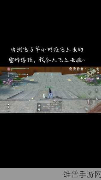 逆水寒手游雷峰塔顶登顶攻略，解锁秘籍武学的必经之路