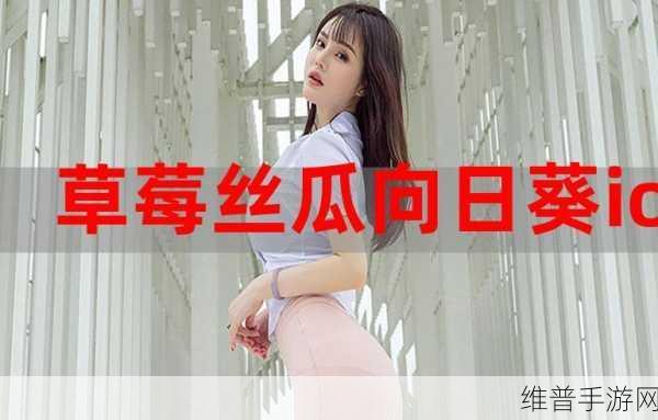 草莓丝瓜向日葵樱桃榴莲：1. 草莓与丝瓜的奇妙搭配，健康美味新选择