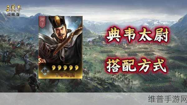 三国志战略版，太尉盾弱点全解析及破敌之策