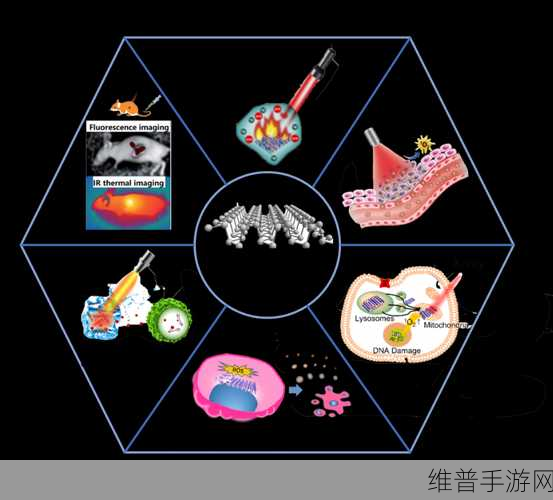 有一根又黑又硬的：1. ＂探索黑色硬质材料的神秘与应用