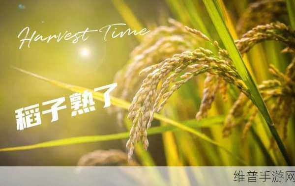 丰年经继拇中文2的功能介绍电影：1. 《丰年经继拇：探索人类与自然的和谐之道