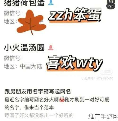 四虎最新地域网名免费苹果:1. 四虎最新地域网名分享,苹果用户福利大放送