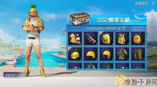 和平精英手册无限循环攻略,深度解析与实战指南