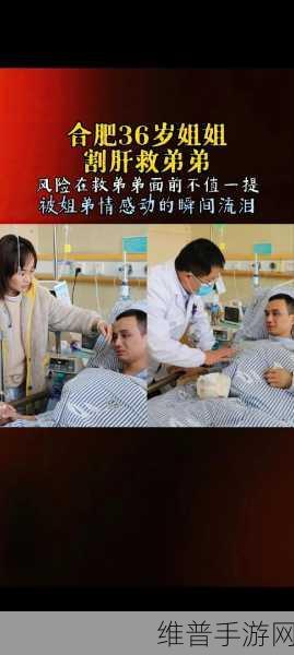 办公室强肝剧最新播出时间：1. 《办公室强肝剧》：职场拼搏的汗水与泪水