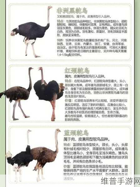 人与畜禽的合作关系：1. 人与畜禽和谐共生的生态智慧